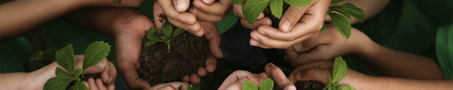 crescimento sustentável