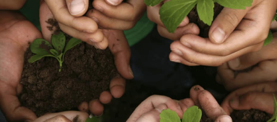 crescimento sustentável